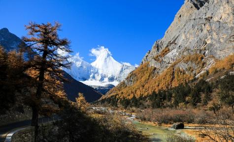 點(diǎn)擊看大圖