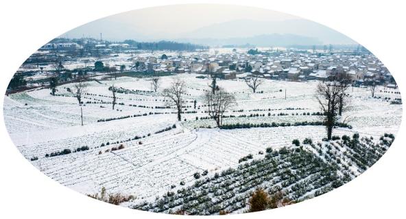 點(diǎn)擊看大圖