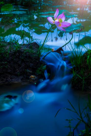 點(diǎn)擊看大圖