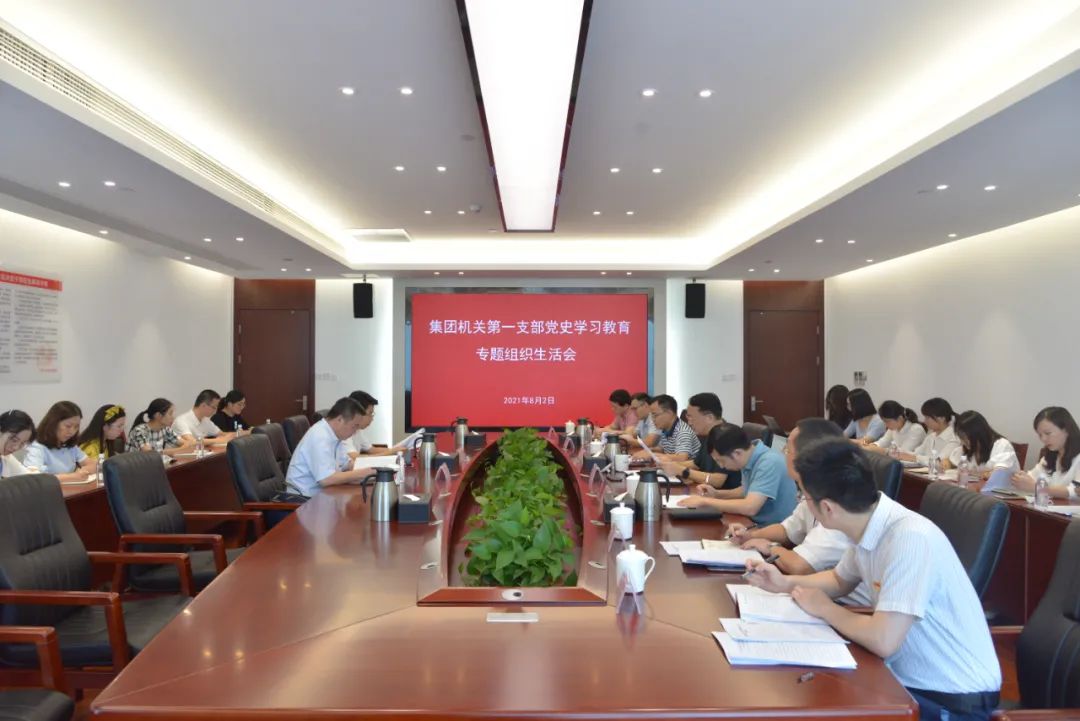 省水投集團機關(guān)第一黨支部召開黨史學(xué)習(xí)教育專題組織生活會