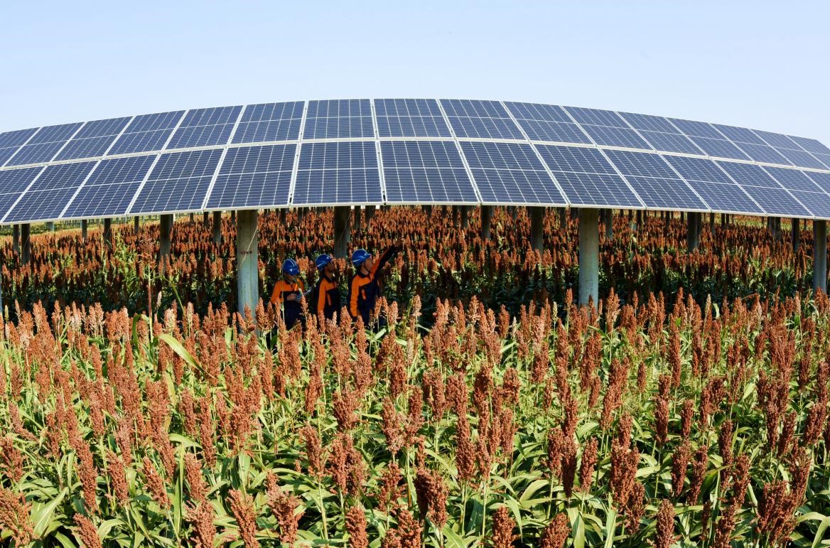 省水投集團(tuán)加快布局新能源產(chǎn)業(yè)