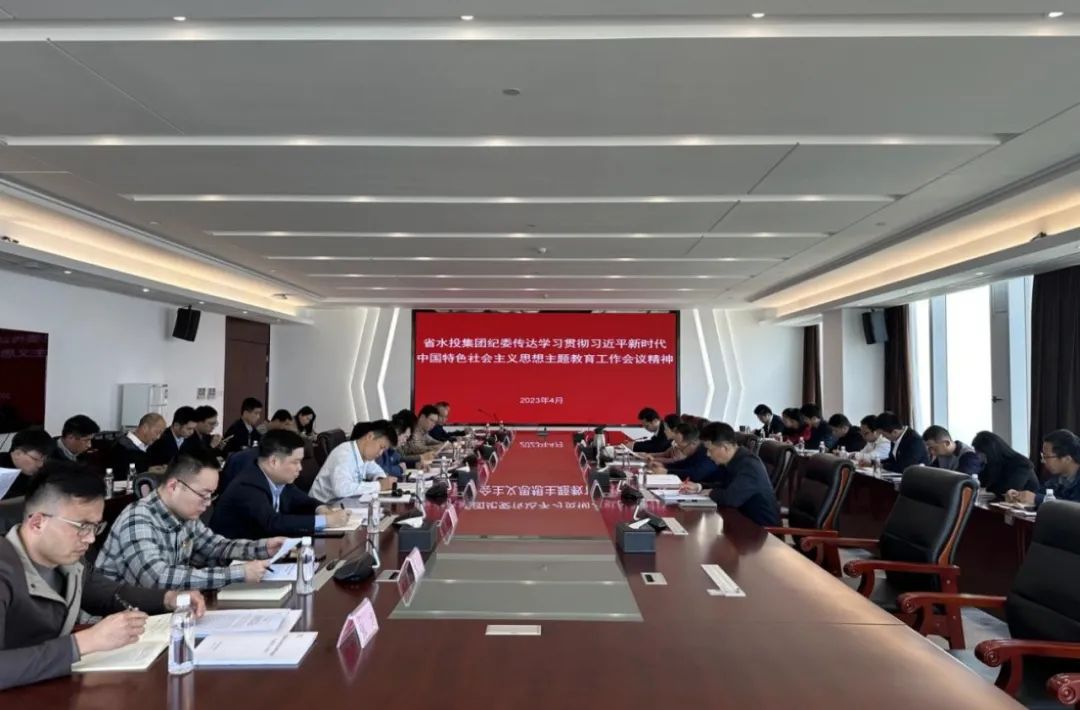 省水投集團紀委傳達學習貫徹習近平總書記在新時代中國特色社會主義思想主題教育工作會上的重要講話精神暨集團突出問題專項治理工作培訓會