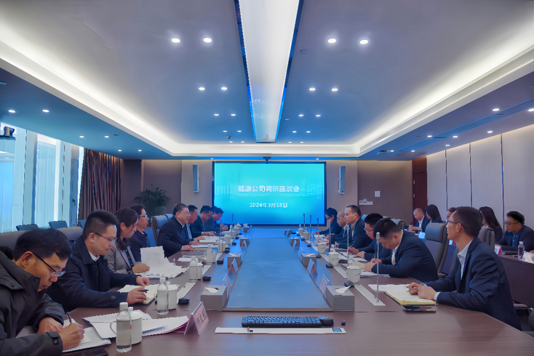 鄒洪赴能源公司調研