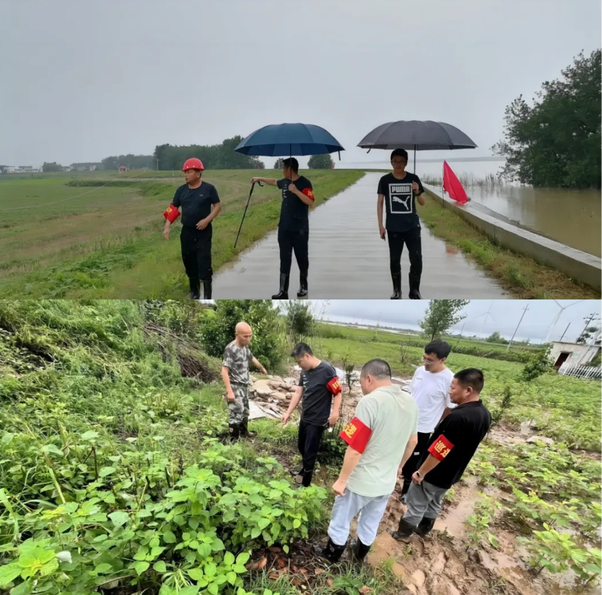 聞令而動 挺膺擔當 水投團員青年筑牢防汛“青春堤壩”