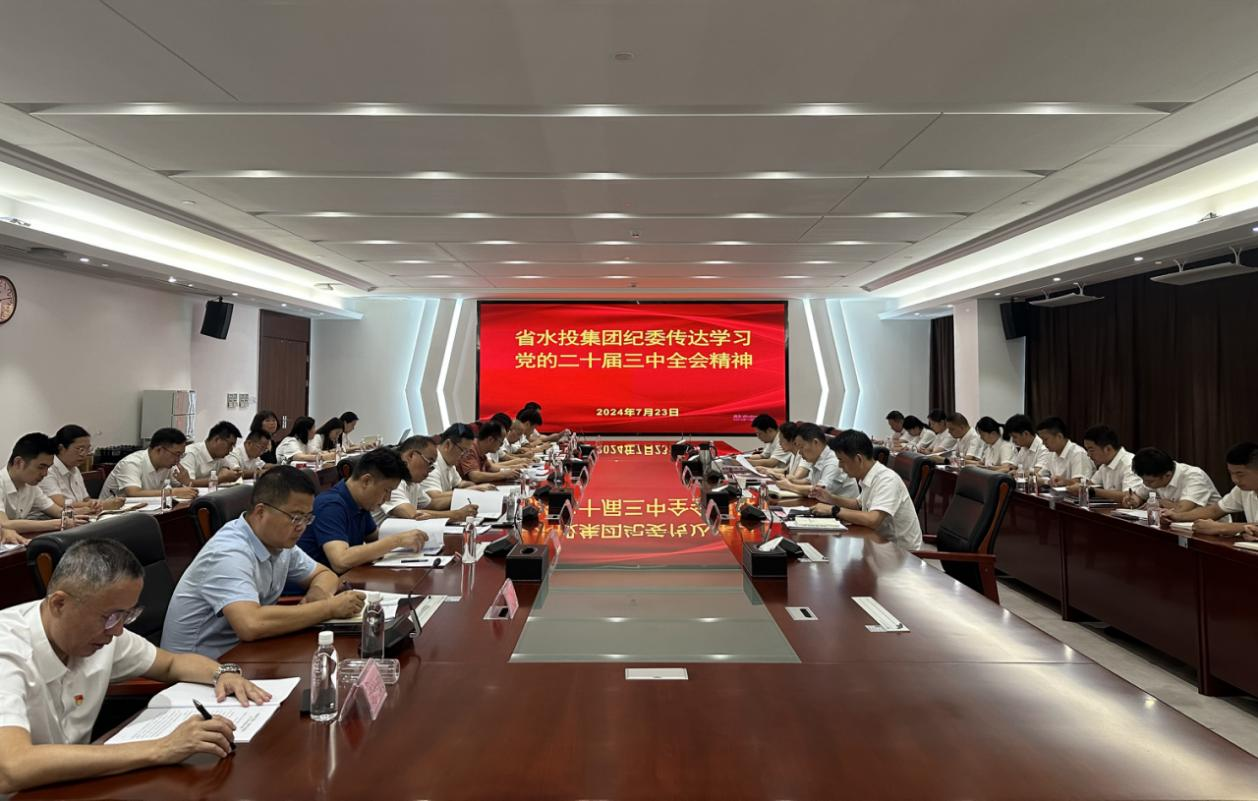 省水投集團(tuán)紀(jì)委召開(kāi)會(huì)議傳達(dá)學(xué)習(xí)黨的二十屆三中全會(huì)精神