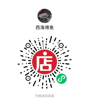 “西海博魚”微店商城正式上線