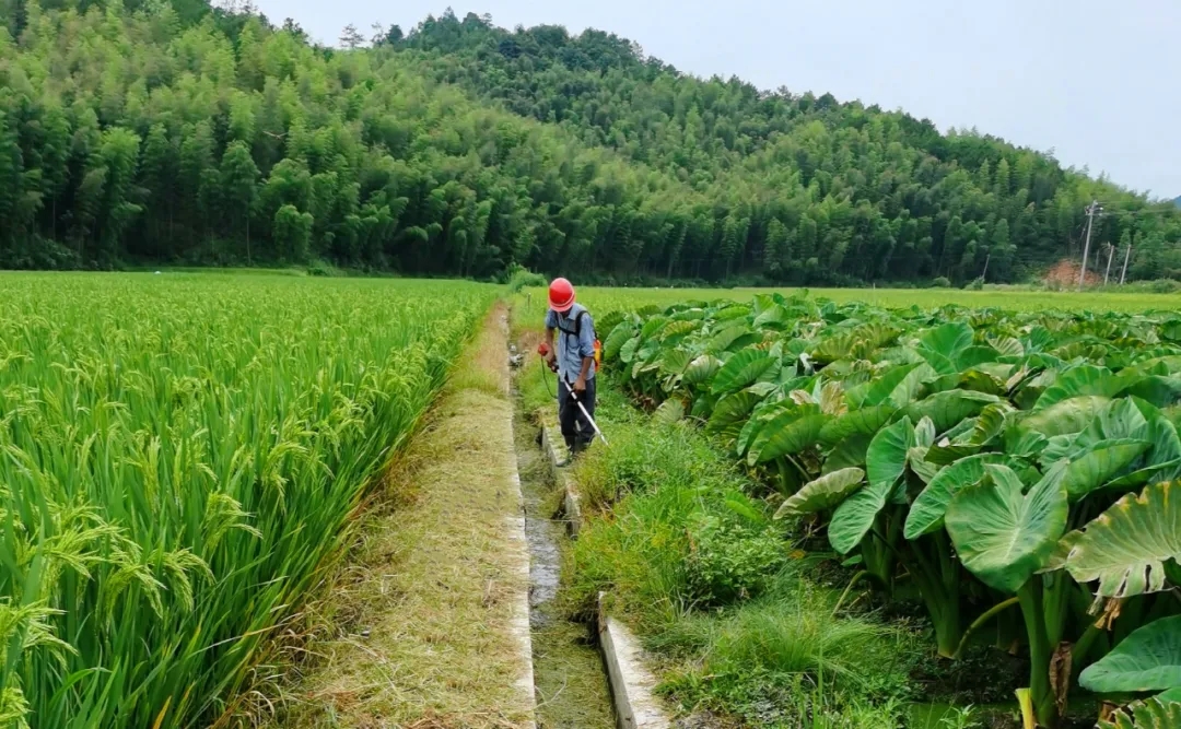 省水務(wù)集團(tuán)｜奮發(fā)進(jìn)取、乘勢(shì)而上，全力拼搶二季度！