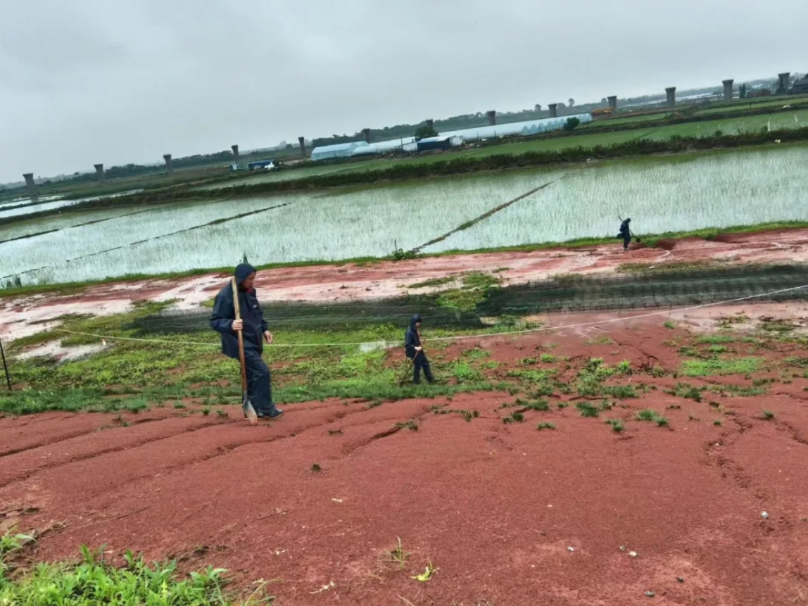 打好防汛“組合拳” 筑牢防汛“安全堤” ｜江西水投人在行動(dòng)（五）