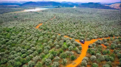 學(xué)黨史 正當(dāng)時(shí) 贛農(nóng)全員在行動(dòng)